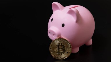 Siyah arka planda pembe kumbaralı altın bitcoin. Kripto para yatırımı. Güvenli bir şekilde nasıl para biriktirilir.