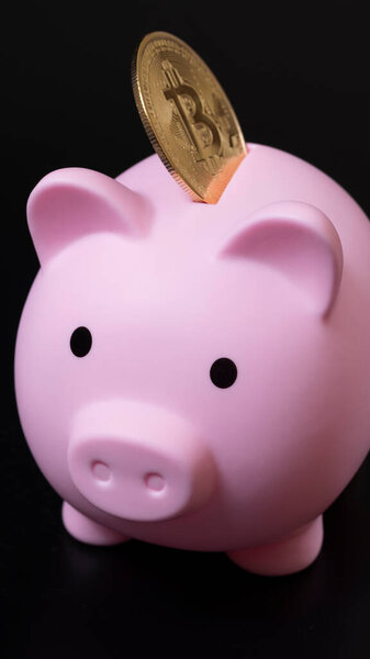 Golden bitcoin with a pink piggy bank, on a black background. Investments in cryptocurrency. How to safely save money.