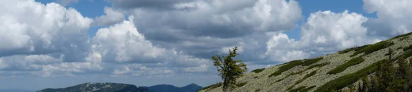 Карпатские Горы Панарама Фотография Сделана Высоте 1800 Метров Над Уровнем — стоковое фото