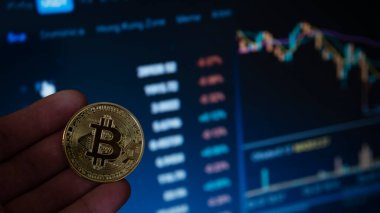 Bilgisayar geçmişinde Bitcoin para. Bitcoin ve kripto para yatırımı kavramı. Şifreli paralar bitcoin. Bitcoin oranlarının dinamiği. Kripto para değişimi ticareti. Bitcoin büyüme grafiği.