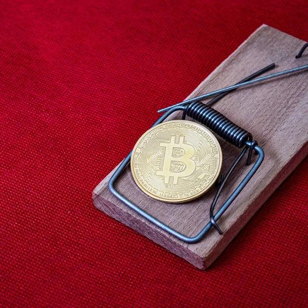 Renkli arka planda altın bitcoin olan bir fare kapanı. Sabun köpüğü şifreli para birimi. Bitcoin Yatırımının Riskleri ve Tehlikeleri