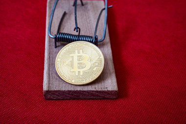 Renkli arka planda altın bitcoin olan bir fare kapanı. Sabun köpüğü şifreli para birimi. Bitcoin Yatırımının Riskleri ve Tehlikeleri