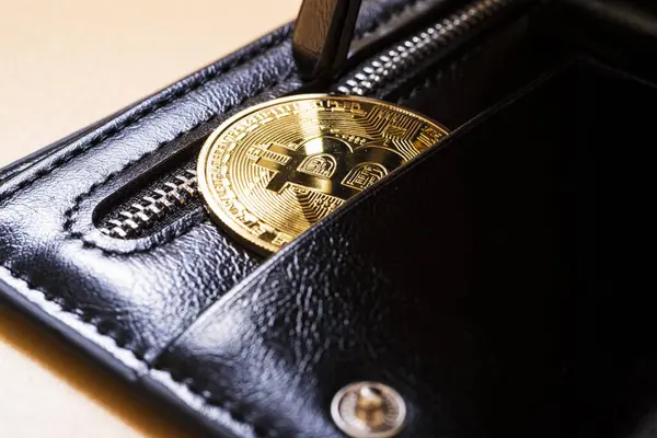 Portemonnee Bitcoin Munt Het Concept Van Het Kopen Verkopen Cryptogeld Stockfoto