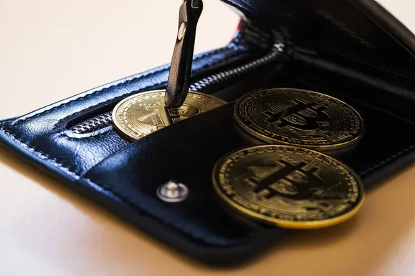 Portefeuille Bitcoin Pièce Concept Achat Vente Crypto Monnaie Revenu Crypto Image En Vente