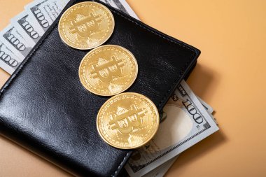 Bitcoin, cüzdan, bize dolar. Kripto para ticareti konsepti. Tasarrufları şifreli para biriminde sakla.