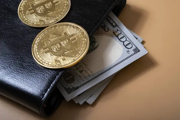 Bitcoin Portemonnee Ons Dollars Cryptogeld Trading Concept Opslaan Besparingen Cryptogeld Stockfoto