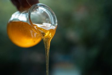 hand hold and pour glass jar with yellow honey on green background