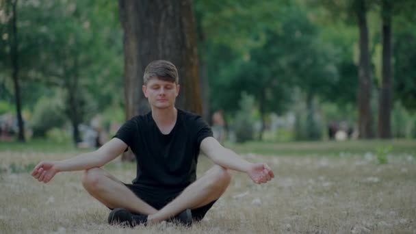 ハンサムな男性は蓮のポーズで座って屋外で瞑想 — ストック動画