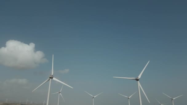 Wind Mills Farming Eco Friendly Power Generation Future — Stock Video