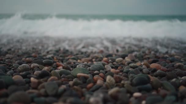Sea Oceanic Beach Black Brown Grey Pebbles Background Wallpaper — Stock Video
