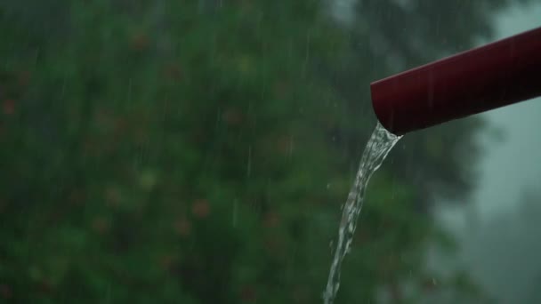 Σύστημα Αποχέτευσης Βροχών Πλαστικό Υδρορροή Νερό Έξαψης Βροχερή Καταιγίδα Έξω — Αρχείο Βίντεο