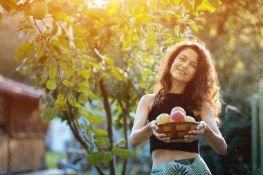 Genç ve güzel bir kadın meyve bahçesinde ya da yaz günü yerel çiftlikte olgun organik elmalar topluyor.