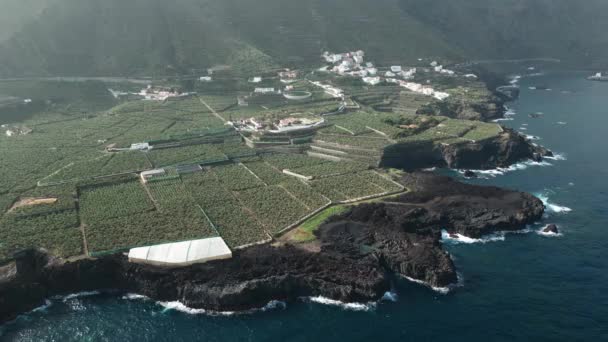 Palma Canaria Yeşil Muz Tarlası Hava Aracı Görüntüsü — Stok video
