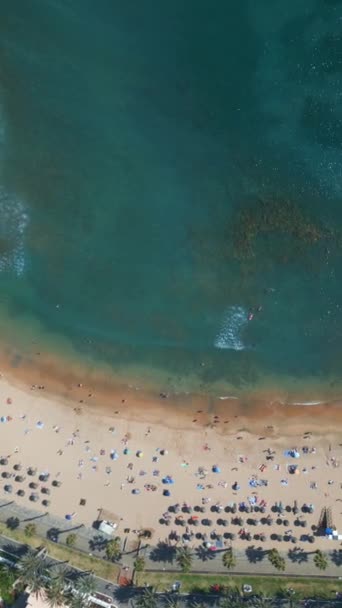 ターコイズブルーの透明水ときれいな砂で海岸線の美しい空中ドローンビュー 高品質4K映像 — ストック動画