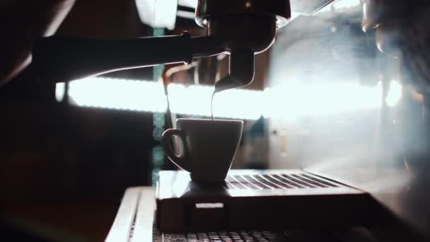 Barista Prepare Espresso Mug Professional Coffee Brew Machine Silhouette — Stock Video