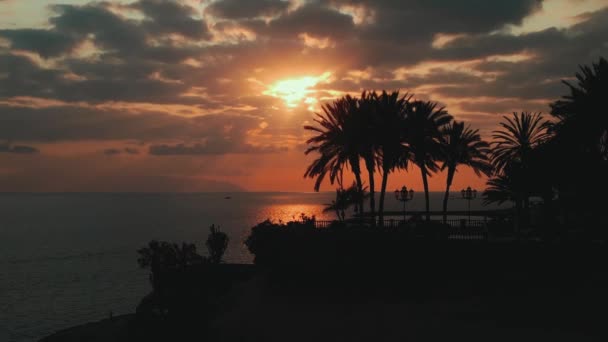 美丽的落日在海滨 有着棕榈天堂般的轮廓 云彩和海滩 特内里费 加那利岛 高质量的4K无人驾驶飞机镜头 — 图库视频影像