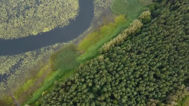 Lago Rio Crescido Selvagem Vista Aérea Drone Imagens Aéreas Alta — Vídeo de Stock