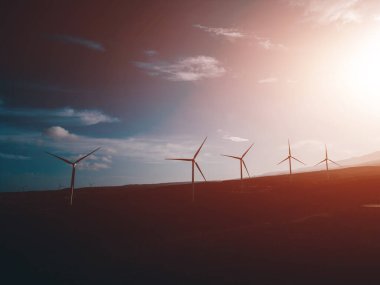 Rüzgar değirmenleri çiftçiliği, geleceğin çevre dostu güç üretimi