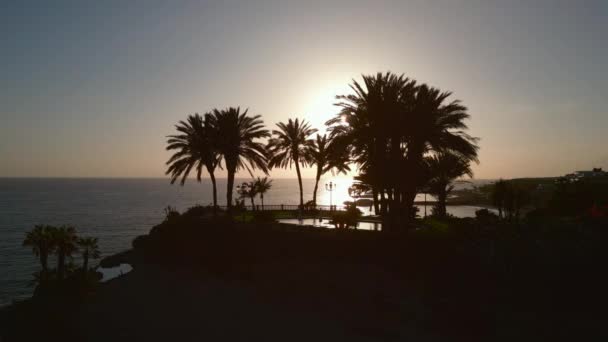 Piękny Zachód Słońca Oceanicznym Brzegu Palmami Sylwetka Raj Woda Plaża — Wideo stockowe