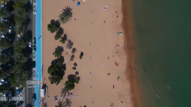 Καθαρή Εξωτική Παραλία Όμορφα Διάφανα Μπλε Νερά Playa Las Teresitas — Αρχείο Βίντεο