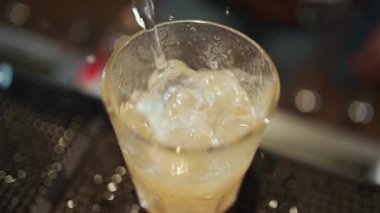 Barmen sarı turunçgil ya da portakal suyu hazırlıyor. Tonik ve buzlu. Yüksek kaliteli FullHD görüntüler