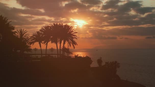 Прекрасний Захід Сонця Океанічному Березі Пальмами Райським Силуетом Хмарами Пляжем — стокове відео