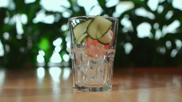 Barkeeper Pregătește Gin Fizz Cocktail Rece Gheață Grapefruit Castravete Imagini — Videoclip de stoc