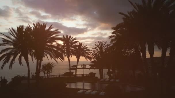 美丽的落日在海滨 有着棕榈天堂般的轮廓 云彩和海滩 特内里费 加那利岛 高质量的4K无人驾驶飞机镜头 — 图库视频影像