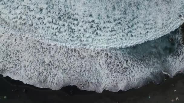 Красивый Черный Вулканический Песчаный Пляж Пальмами Голубой Водой Пуэрто Крус — стоковое видео