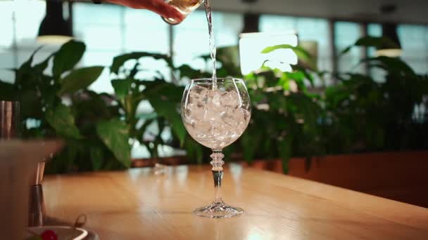 Barkeeper Förbereder Färsk Söt Grön Midori Cocktail Med Rom Lime — Stockvideo