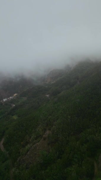 Niebla Con Viento Nube Brumosa Montañas Verdes Parque Anaga Tenerife — Vídeos de Stock