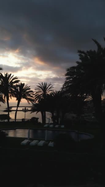 美丽的落日在海滨 有着棕榈天堂般的轮廓 云彩和海滩 特内里费 加那利岛 高质量的4K无人驾驶飞机镜头 故事或卷轴的垂直方向 — 图库视频影像