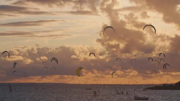 Professional Kite Surfing Ocean Sea Sunset Kitesurfing Training Water High — Stock Video