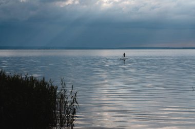 Genç adam durgun gölün sularında ayakta duruyor ve kürek çekiyor. Huzurlu bir manzara. Yüksek kaliteli resim