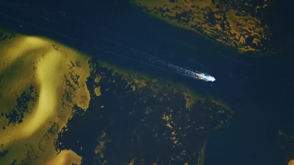 海洋または海洋の開放された汚染された水で航海するモーターボート4K 高品質の映像 — ストック動画