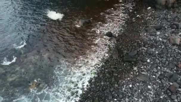 Kamienista Plaża Wodą Oceanu Mały Kamyk Przez Klif Garachico Teneryfa — Wideo stockowe