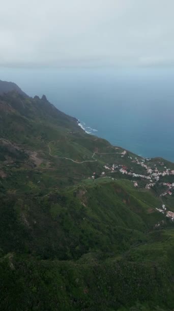 Bonito Verde Anaga Parque Nacional Rural Montanhas Tenerife Canária Ilha — Vídeo de Stock