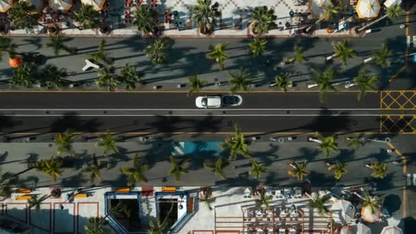 Luftaufnahme Der Avenida Straße Von Playa Las Americas Palmen Teneriffa — Stockvideo