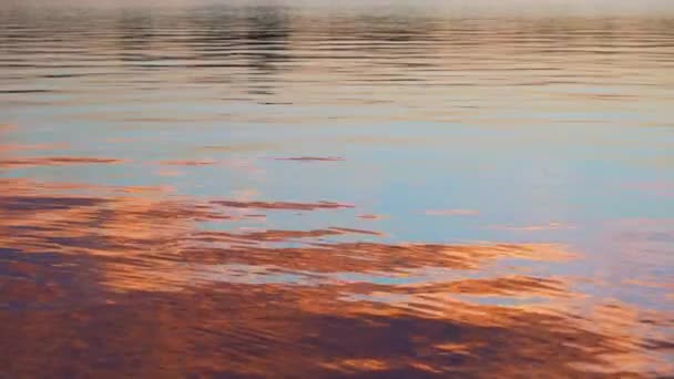 Schoon Water Golf Patroon Vloeibare Golvende Rimpel Textuur Natuurlijke Achtergrond — Stockvideo