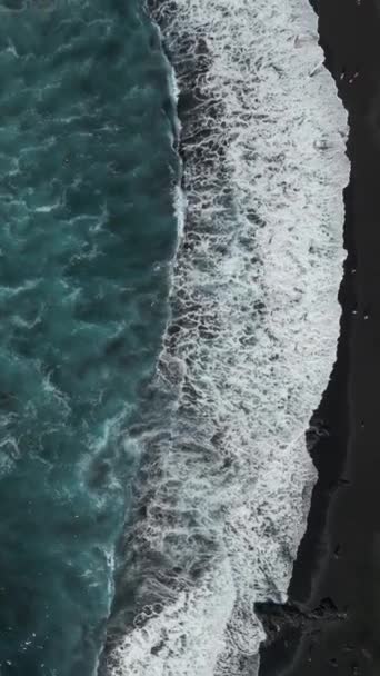 Hermosa Playa Arena Volcánica Negra Con Palmeras Agua Azul Puerto — Vídeo de stock