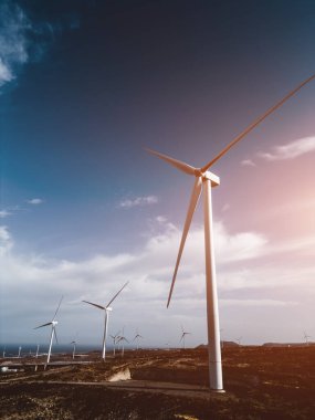 Rüzgar değirmenleri çiftçiliği, geleceğin çevre dostu güç üretimi