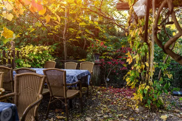 cozy autumn yellow backyard with wooden table and chairs. High quality photo