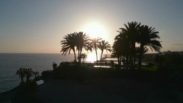 美丽的落日 在海滨 棕榈天堂的轮廓 水和海滩 特内里费 加那利岛 高质量的4K无人驾驶飞机镜头 — 图库视频影像