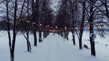 Karlı kış parkında aydınlık bir sokak, ormanda kar ve yolda süslü ampuller. Yüksek kalite 4k görüntü