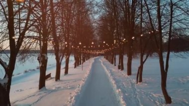 Karlı kış parkında aydınlık bir sokak, ormanda kar ve yolda süslü ampuller. Yüksek kalite 4k görüntü