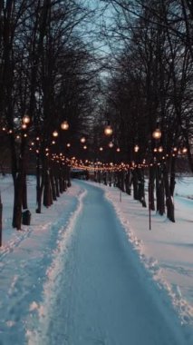 Karlı kış parkında aydınlık bir sokak, ormanda kar ve yolda süslü ampuller. Yüksek kalite 4k görüntü, dikey video