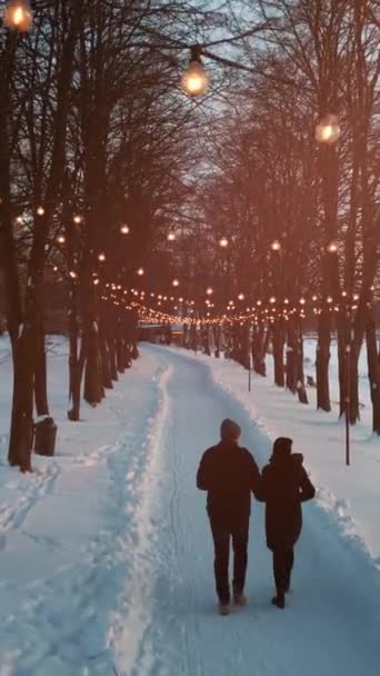 Karlı Kış Parkında Aydınlık Sokakta Yürüyen Romantik Bir Çift Ormanda — Stok video