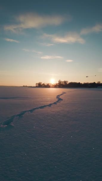 Stopa Bílém Čerstvém Sněhu Slunečného Zimního Počasí Zvířecí Stopa Zasněženém — Stock video