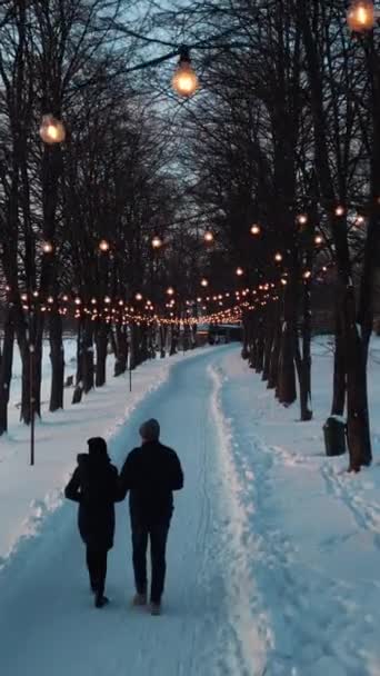 Romantický Pár Procházky Osvětlenou Uličkou Zasněženém Zimním Parku Sníh Lese — Stock video