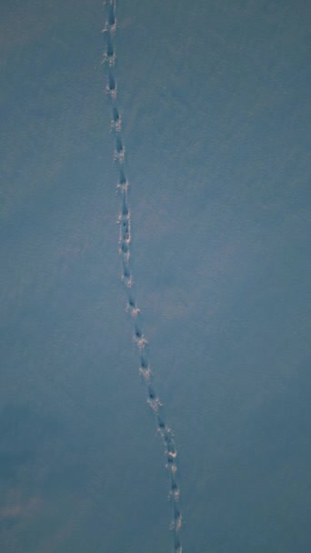 Güneşli Kış Havasında Beyaz Taze Kar Üzerinde Ayak Izleri Karlı — Stok video